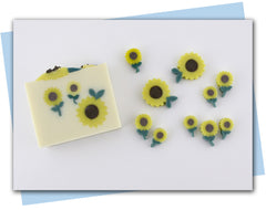 Sunflower extruder discs pieces and embeds