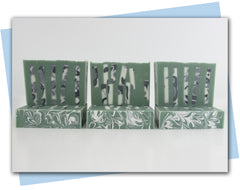 green bar of soap with birch like branch soap embeds