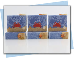 Crab sitting on bottom of ocean floor with shells in the ocean bars of soap